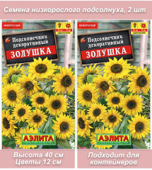 Подсолнух Золушка