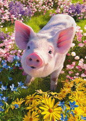 Пазл Cherry Pazzi 500 деталей: Ты меня любишь?