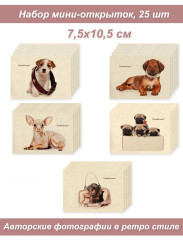 Набор Мини открыток, бирки, карточки 3