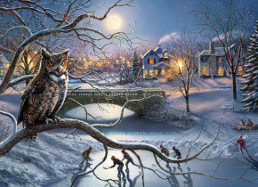 Пазл Cobble Hill 1000 деталей: Зимняя окраина города