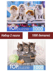 Набор Рыжий Кот 1000 деталей: Очаровательные котята, 2 шт